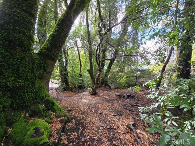 Detail Gallery Image 22 of 38 For 32120 Shimmins Ridge Rd, Willits,  CA 95490 - – Beds | – Baths