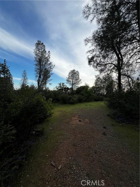 Detail Gallery Image 5 of 9 For 0 Donkey Mine Rd, Oak Run,  CA 96069 - – Beds | – Baths
