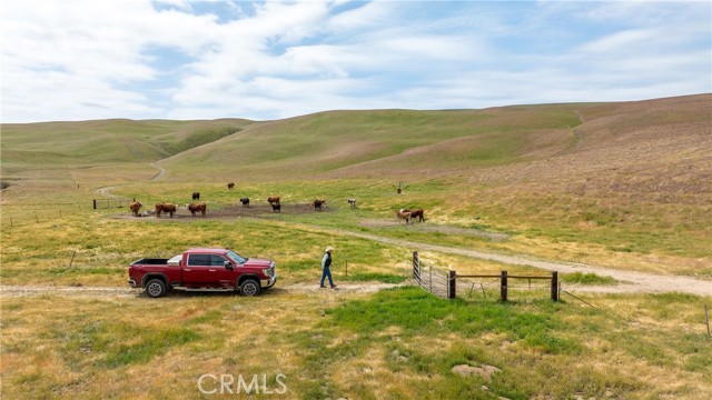 Detail Gallery Image 34 of 44 For 8050 Bitterwater Road, Shandon,  CA 93461 - 3 Beds | 1 Baths