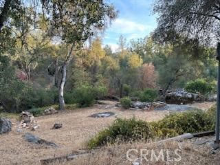 4116 Silver Bar Rd., Mariposa, California 95338, 2 Bedrooms Bedrooms, ,1 BathroomBathrooms,Single Family Residence,For Sale,Silver Bar Rd.,MP24194213