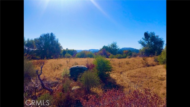 10 Old Oak Lane, Mariposa CA: https://media.crmls.org/medias/b46a6c69-cf59-4daa-bea1-439a4e7be9d7.jpg