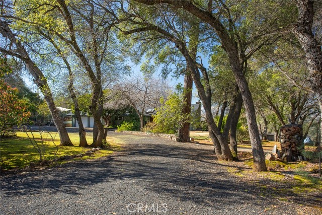 Detail Gallery Image 6 of 75 For 210 Riverview Dr, Oroville,  CA 95966 - 4 Beds | 3 Baths