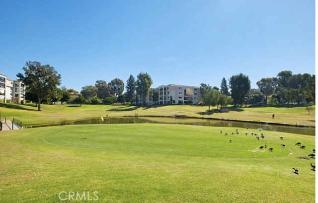 Detail Gallery Image 5 of 25 For 2403 via Mariposa Unit 3c, Laguna Woods,  CA 92637 - 1 Beds | 1 Baths