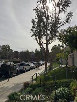 Front Image Thumbnail for CRSR25251508