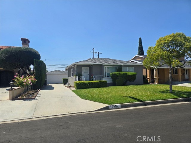 Front Image Thumbnail for CRDW26093632