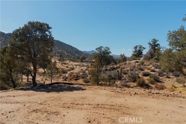 48317 Burns Canyon Road, Pioneertown CA: https://media.crmls.org/medias/b476c273-ab74-4b39-9ad5-f172d8b0b100.jpg