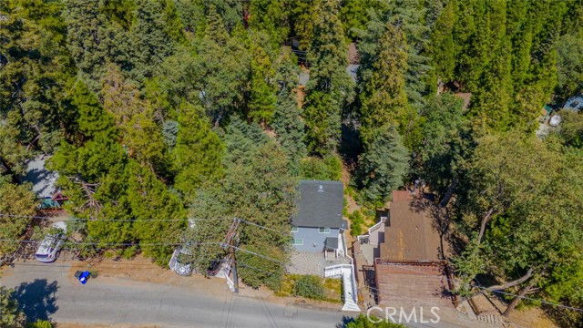 Detail Gallery Image 39 of 41 For 576 Rose Ln, Twin Peaks,  CA 92391 - 3 Beds | 2/1 Baths