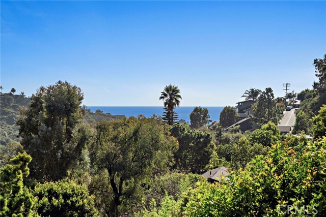 Detail Gallery Image 39 of 46 For 1362 Morningside Dr, Laguna Beach,  CA 92651 - 5 Beds | 3/1 Baths