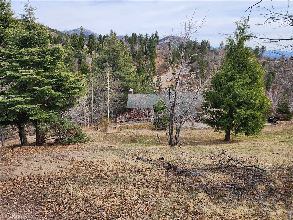 MLS #IG25045374 image #24