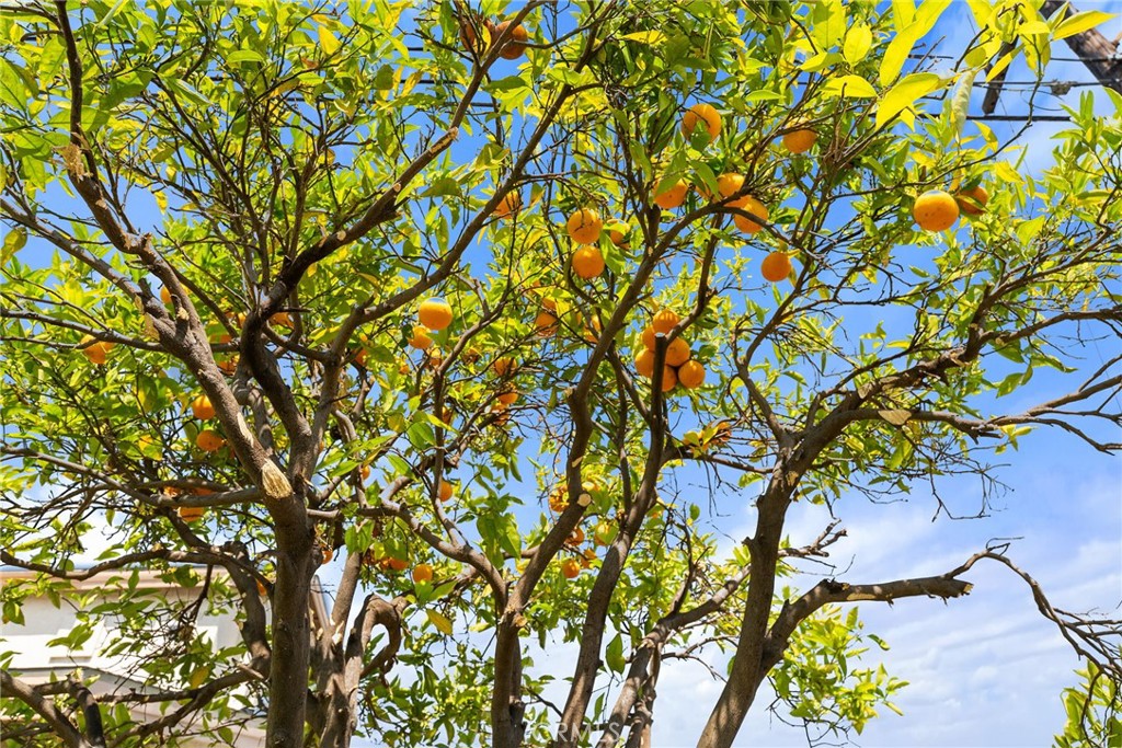 https://media.crmls.org/medias/b47e51bb-9b90-4eb8-98dc-2b8b3f51c865.jpg?preset=X-Large