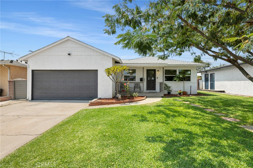 221 Chinchilla Street