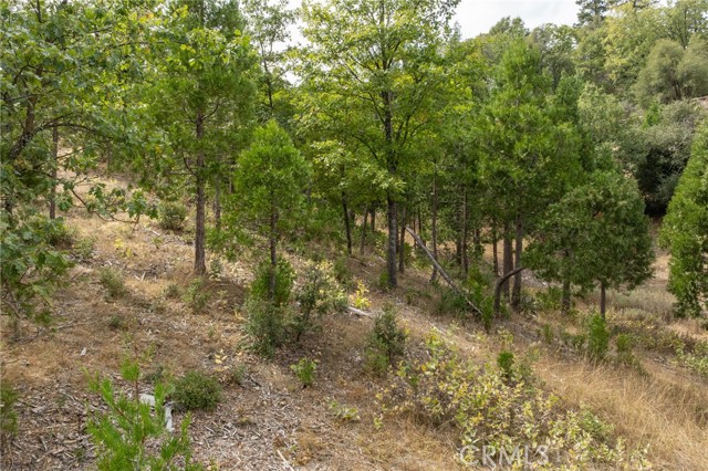 Detail Gallery Image 20 of 55 For 26 Timberview, North Fork,  CA 93643 - – Beds | – Baths