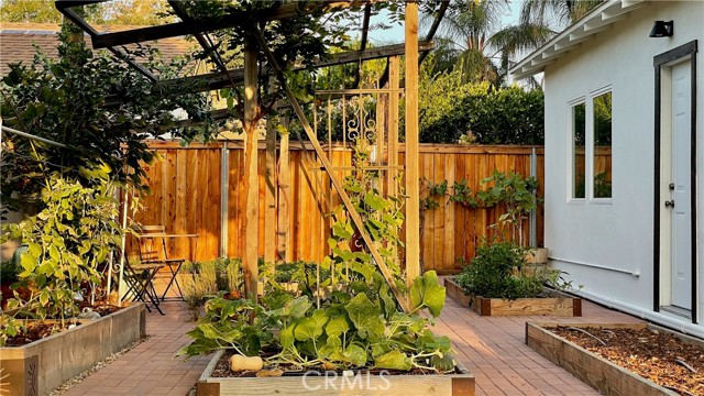 Vegetable garden with raised beds and drip irrigation