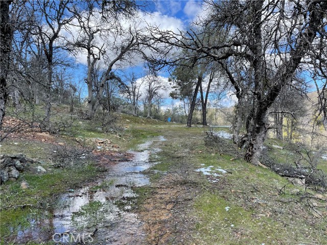 Detail Gallery Image 4 of 20 For 5799 Corey Pines Rd, Mariposa,  CA 95338 - – Beds | – Baths