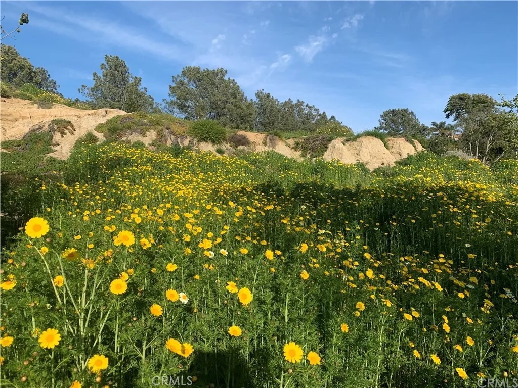 B48b3b35 015d 4723 Baec F9cb58b3e014