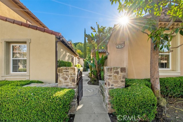 Front Image Thumbnail for CROC26024118