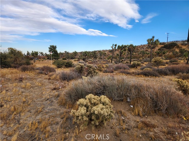 Detail Gallery Image 13 of 13 For 164 Lot Joshua Ln, Yucca Valley,  CA 92284 - – Beds | – Baths