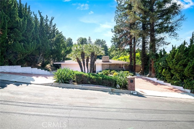16258 Bertella Drive photo 3