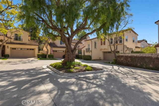 11864 Tuscana Court photo 2