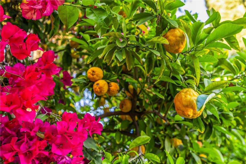 https://media.crmls.org/medias/b4ab6389-efbb-4320-82df-1875f392573e.jpg?preset=X-Large