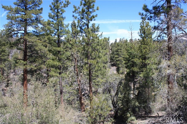 Detail Gallery Image 17 of 55 For 615 Kean Way, Big Bear City,  CA 92314 - – Beds | – Baths