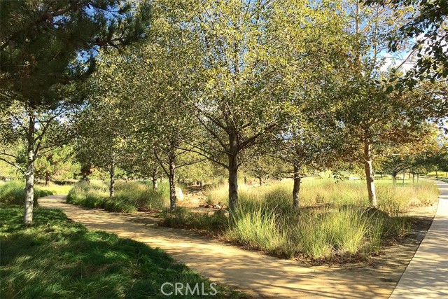 Image 13 of 24 For 92 Costa Brava