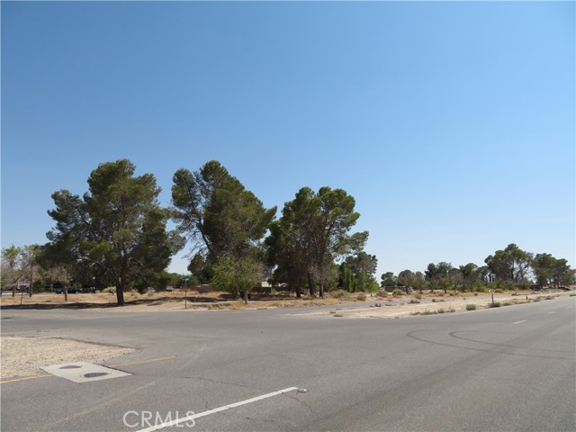 0 Martin, California City CA: https://media.crmls.org/medias/b4bc57f9-3887-4455-9b55-29208755cab6.jpg