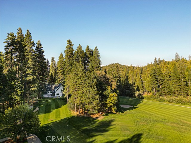 157 Brentwood Drive, Lake Arrowhead CA: https://media.crmls.org/medias/b4bee417-b308-47b7-9971-195c0b69d489.jpg