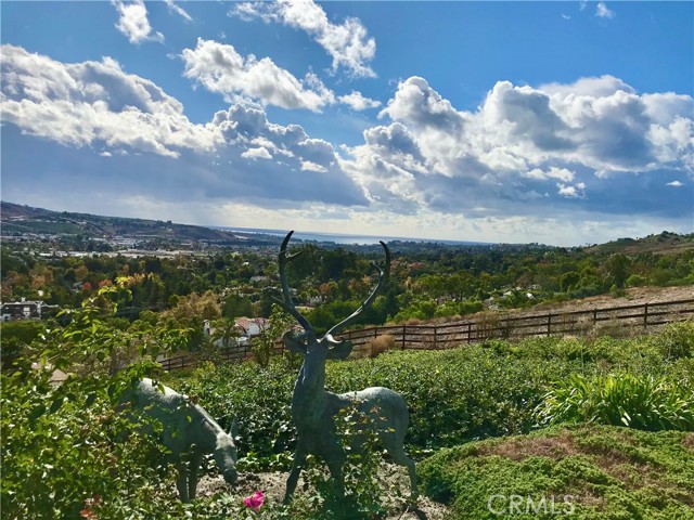 Detail Gallery Image 21 of 75 For 31541 Peppertree Bend, San Juan Capistrano,  CA 92675 - 7 Beds | 8/2 Baths