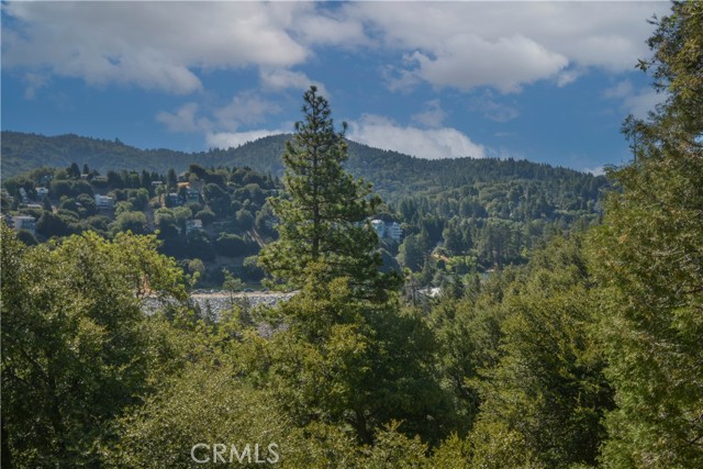 Detail Gallery Image 37 of 37 For 237 E Zermat Dr, Crestline,  CA 92325 - 4 Beds | 3/1 Baths
