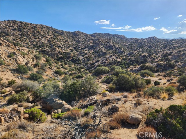 Detail Gallery Image 1 of 3 For 5 Ac Near Nelson Ave, Yucca Valley,  CA 92284 - – Beds | – Baths