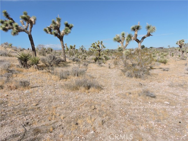 Detail Gallery Image 21 of 33 For 58223 Sunflower Dr, Yucca Valley,  CA 92284 - 0 Beds | –/1 Baths