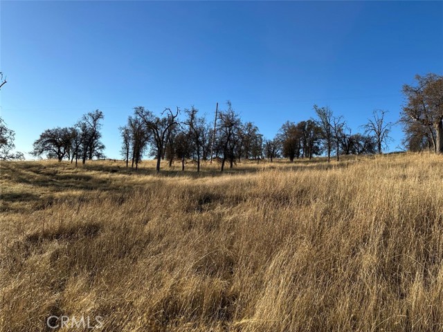 Detail Gallery Image 13 of 26 For 3228 Wild Rose Ct, Catheys Valley,  CA 95306 - – Beds | – Baths