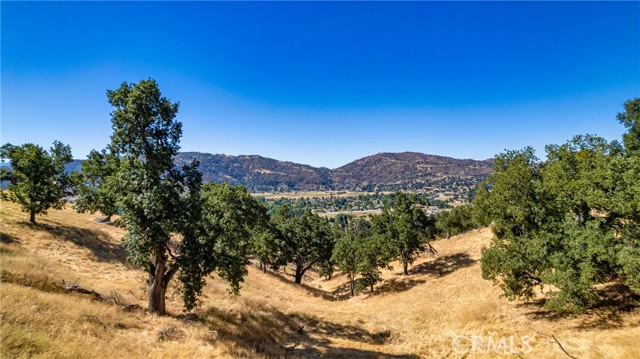 314 Rolling Oak Dr, Tehachapi CA: https://media.crmls.org/medias/b4ccacc9-61ae-4bb2-802d-08d3ee057596.jpg