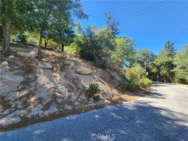 203 Canyon View Drive, Crestline, California 92325, ,Land,For Sale,203 Canyon View Drive,CRRW23202829