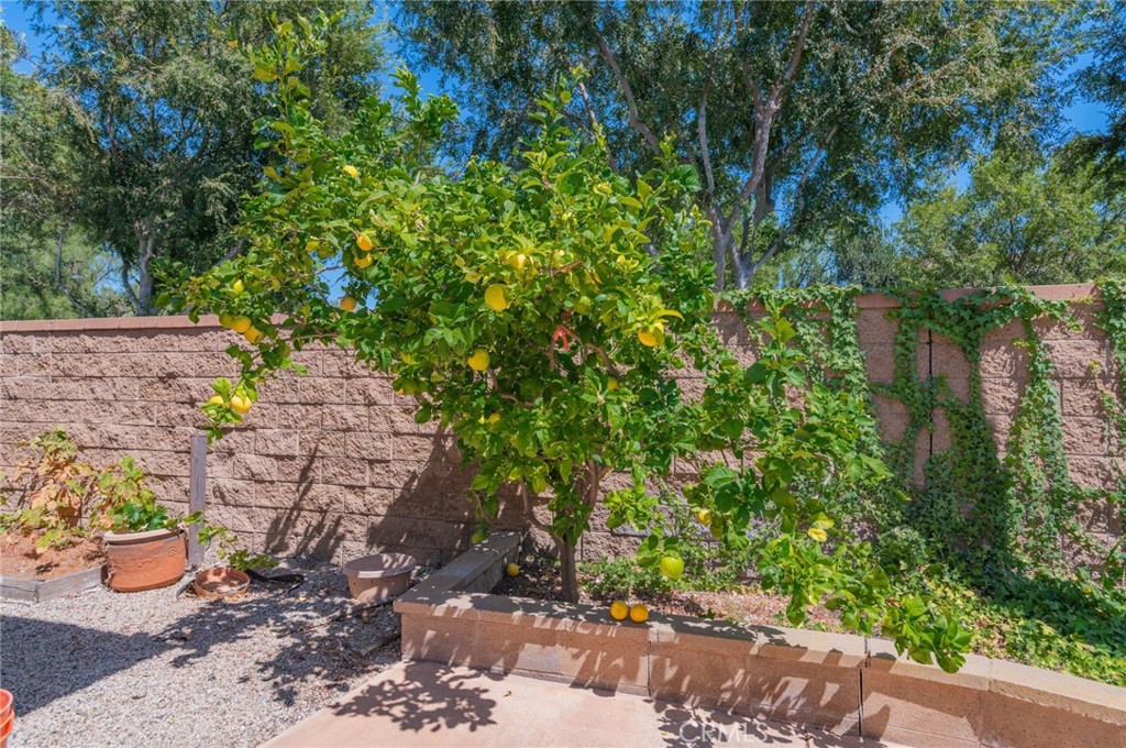 MLS #OC26159980 image #44