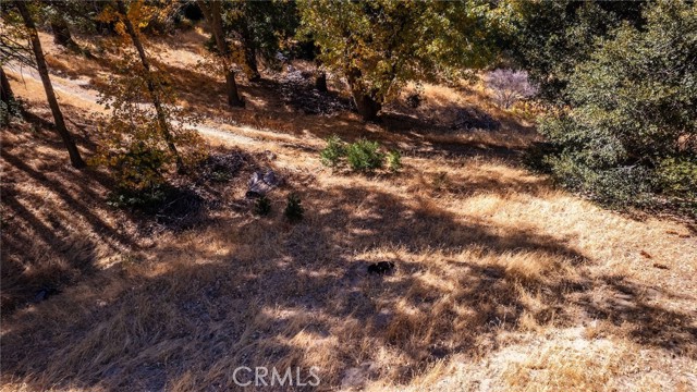 Detail Gallery Image 9 of 40 For 0 Mojave River Rd, Cedarpines Park,  CA 92322 - – Beds | – Baths