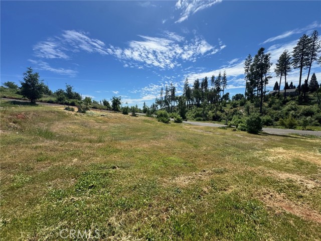 Front Image Thumbnail for CRSN26075728