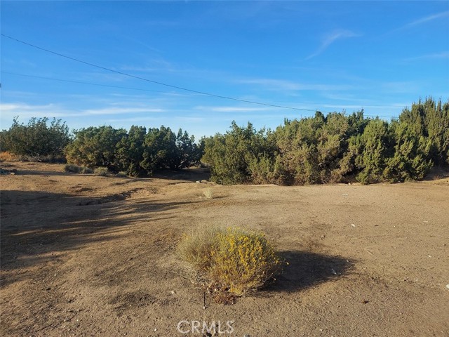 Detail Gallery Image 30 of 37 For 10521 Hollister Rd #269,  Oak Hills,  CA 92344 - 3 Beds | 2/1 Baths