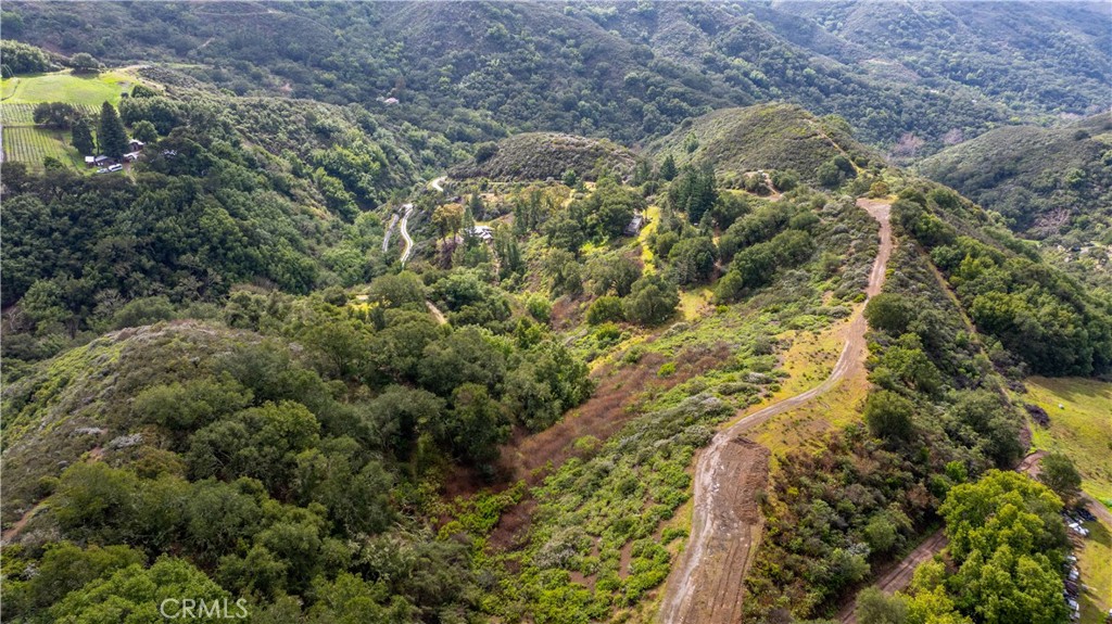 3395 Wallace Mountain Road
