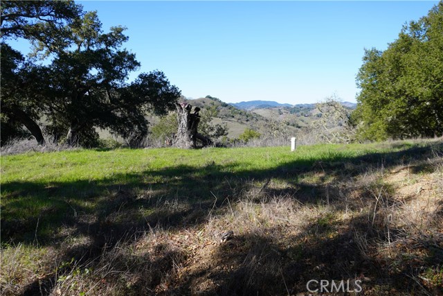 Detail Gallery Image 5 of 11 For 0 El Monte, Templeton,  CA 93465 - – Beds | – Baths