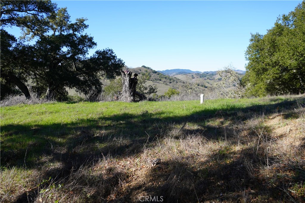 MLS #NS25273520 image #4