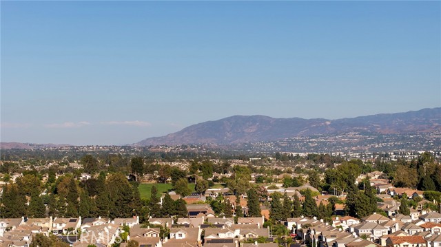 410 N Angelina Drive, Placentia CA: https://media.crmls.org/medias/b4f18784-d5b6-442d-b29a-b70deab33226.jpg