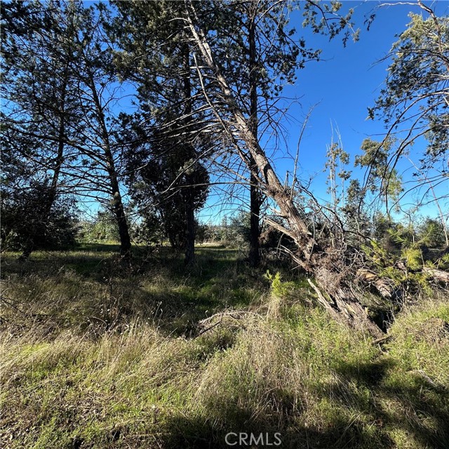 Detail Gallery Image 44 of 51 For 5235 Gaddy, Kelseyville,  CA 95451 - 2 Beds | 1 Baths