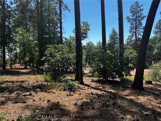 6272 Berkshire, Paradise CA: https://media.crmls.org/medias/b4f72a54-54b8-4c16-b38f-d7c3845a6d3f.jpg