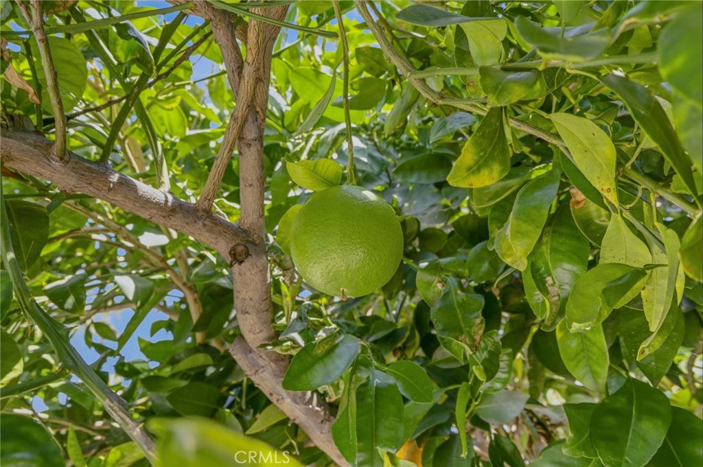 https://media.crmls.org/medias/b4f8e3c8-ad33-40c7-8f3f-0c9d988ac42a.jpg?preset=X-Large