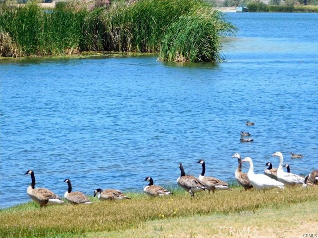 Detail Gallery Image 23 of 42 For 358 Sky Harbor and Lakefront, Aguanga,  CA 92536 - – Beds | – Baths