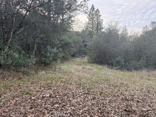 Detail Gallery Image 3 of 20 For 0 Rex Lane, Oroville,  CA 95966 - – Beds | – Baths