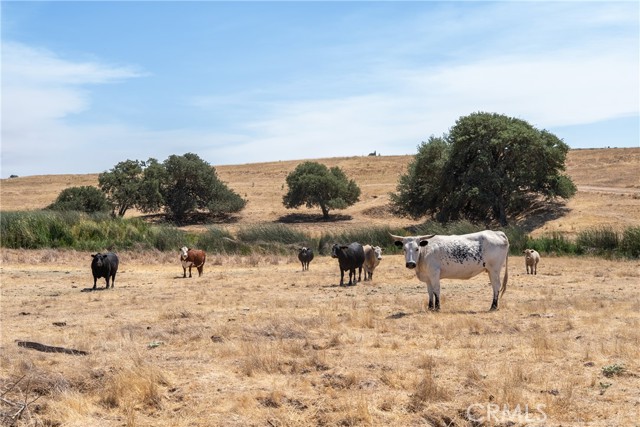 Detail Gallery Image 9 of 25 For 0 Creston Rd, Paso Robles,  CA 93446 - – Beds | – Baths