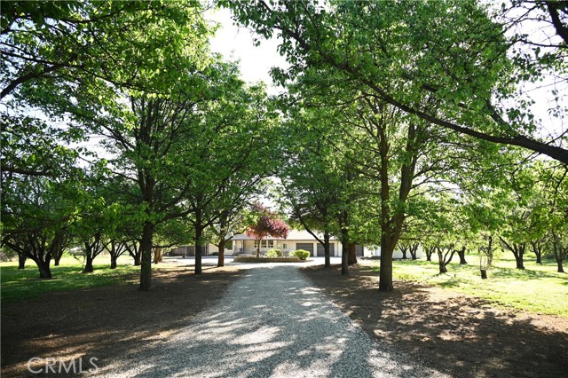 Front Image Thumbnail for CRSN26066377